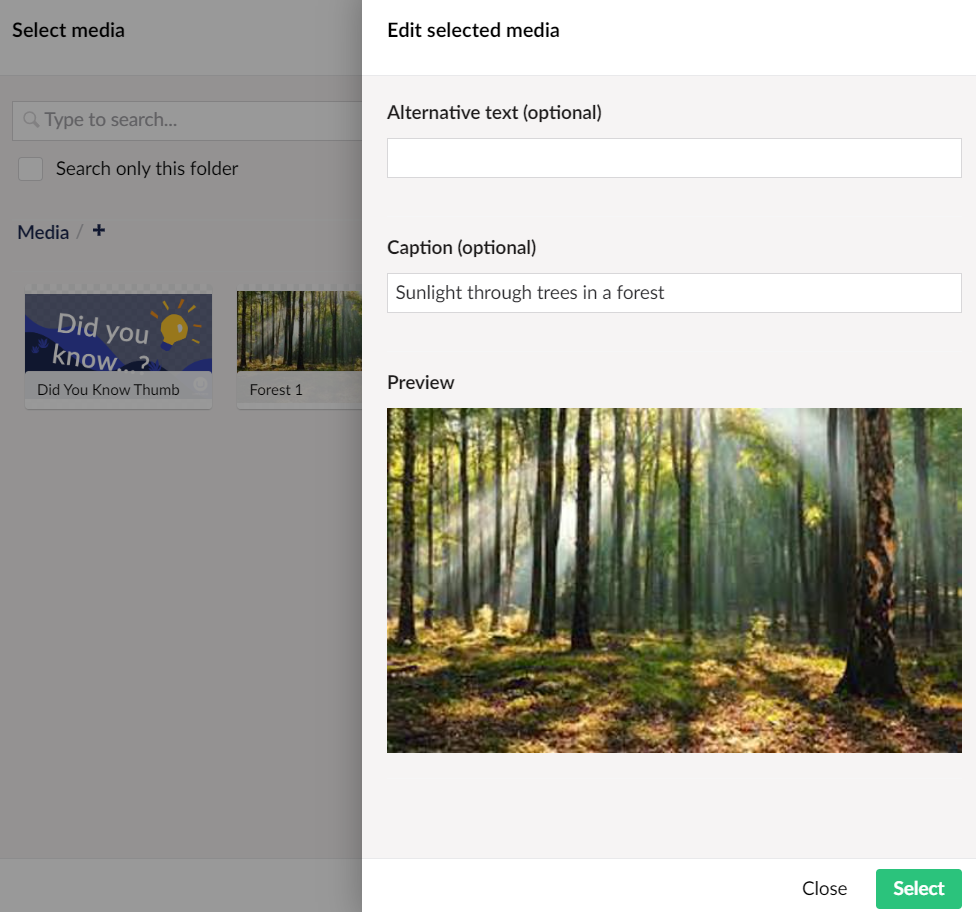 Inserting an Image from the Media Library